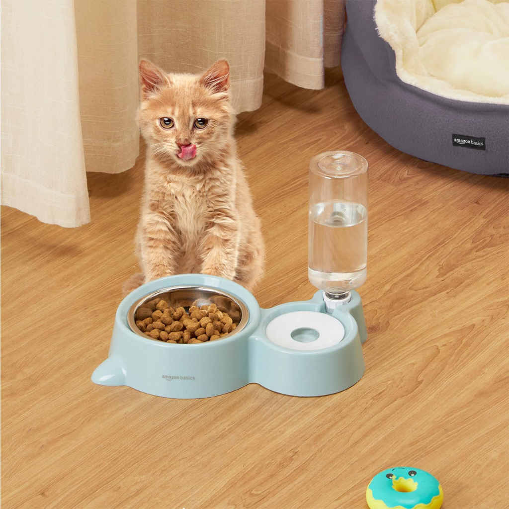 Pet Feeder